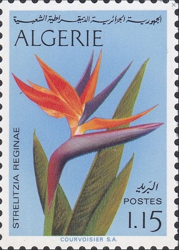 Stamp