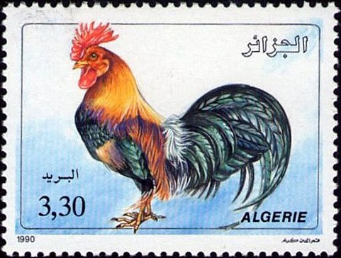 Stamp