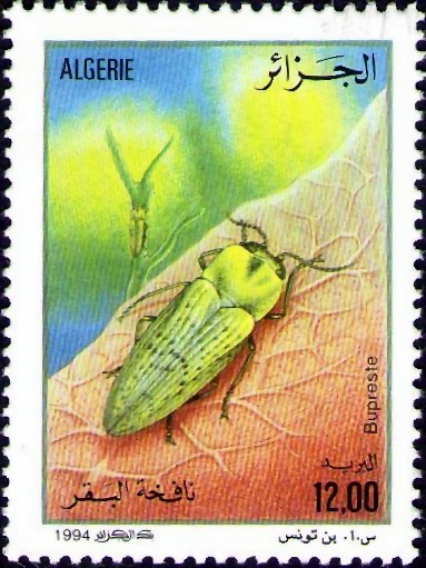 Stamp