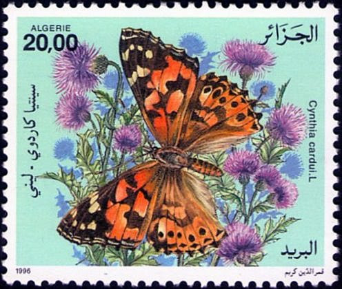 Stamp