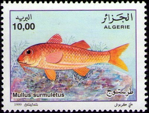 Stamp