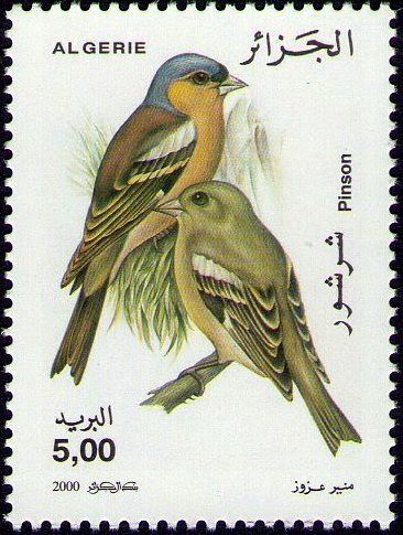 Stamp