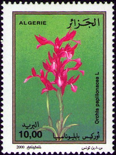 Stamp