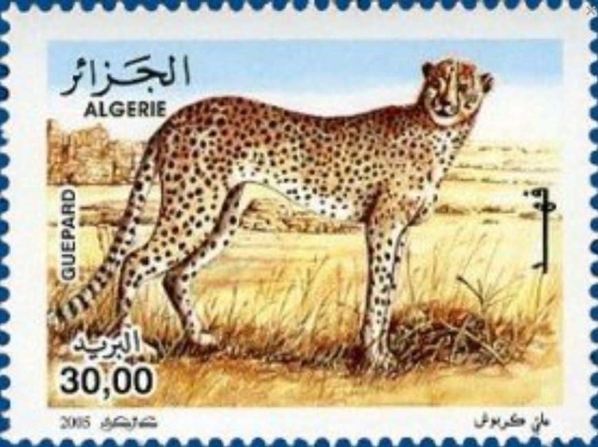 Stamp