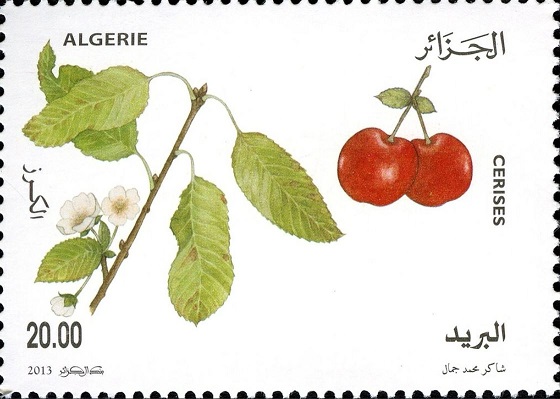 Stamp