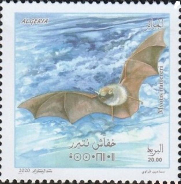 Stamp