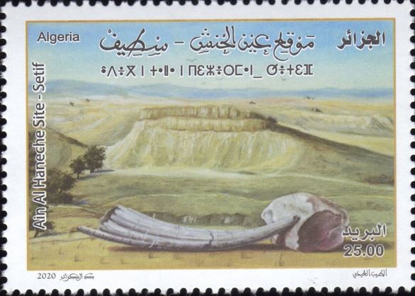 Stamp