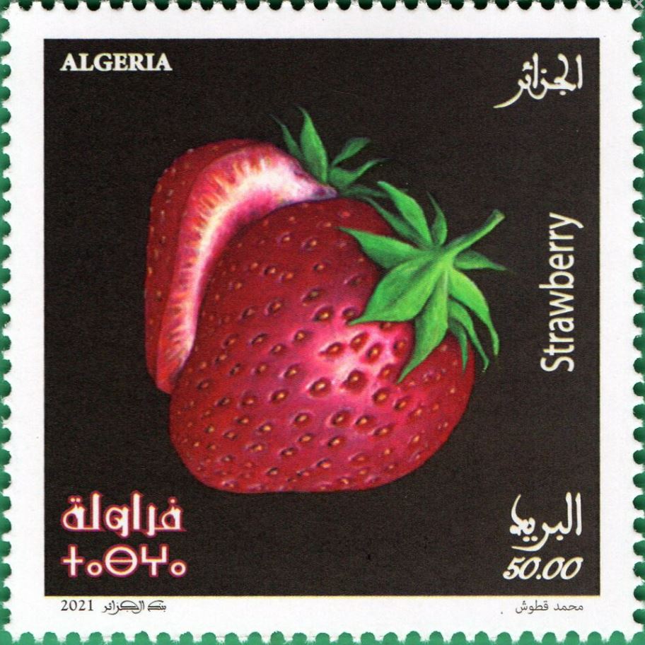 Stamp