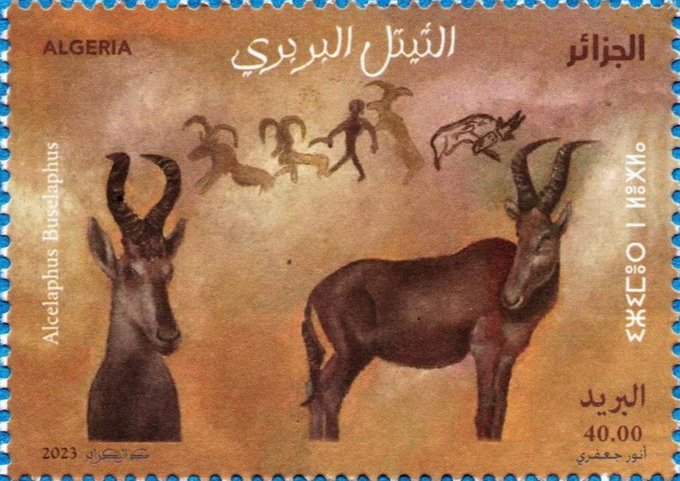 Stamp