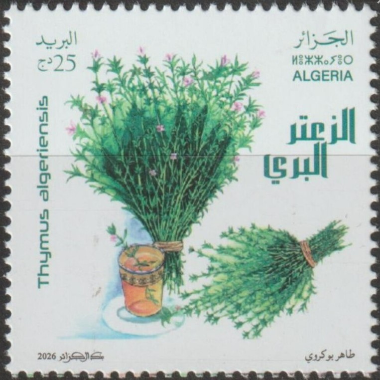 Stamp