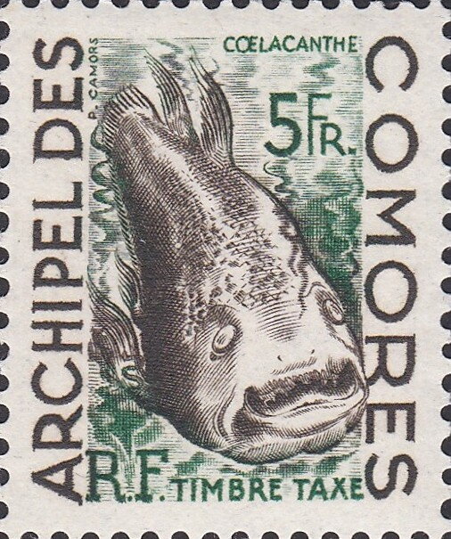 Stamp