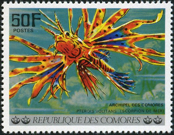 Stamp