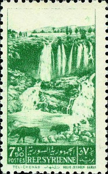Stamp
