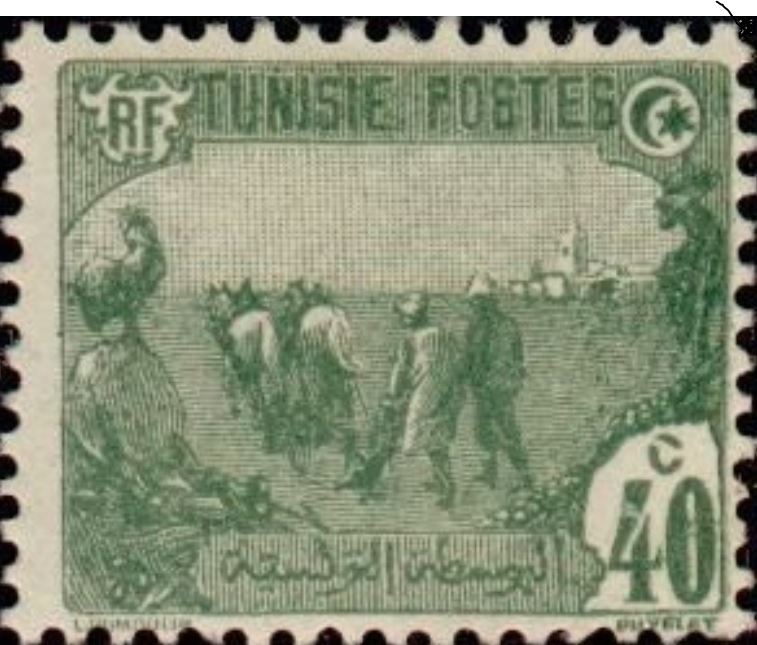 Stamp