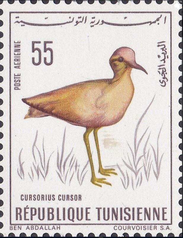 Stamp