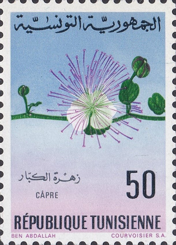 Stamp
