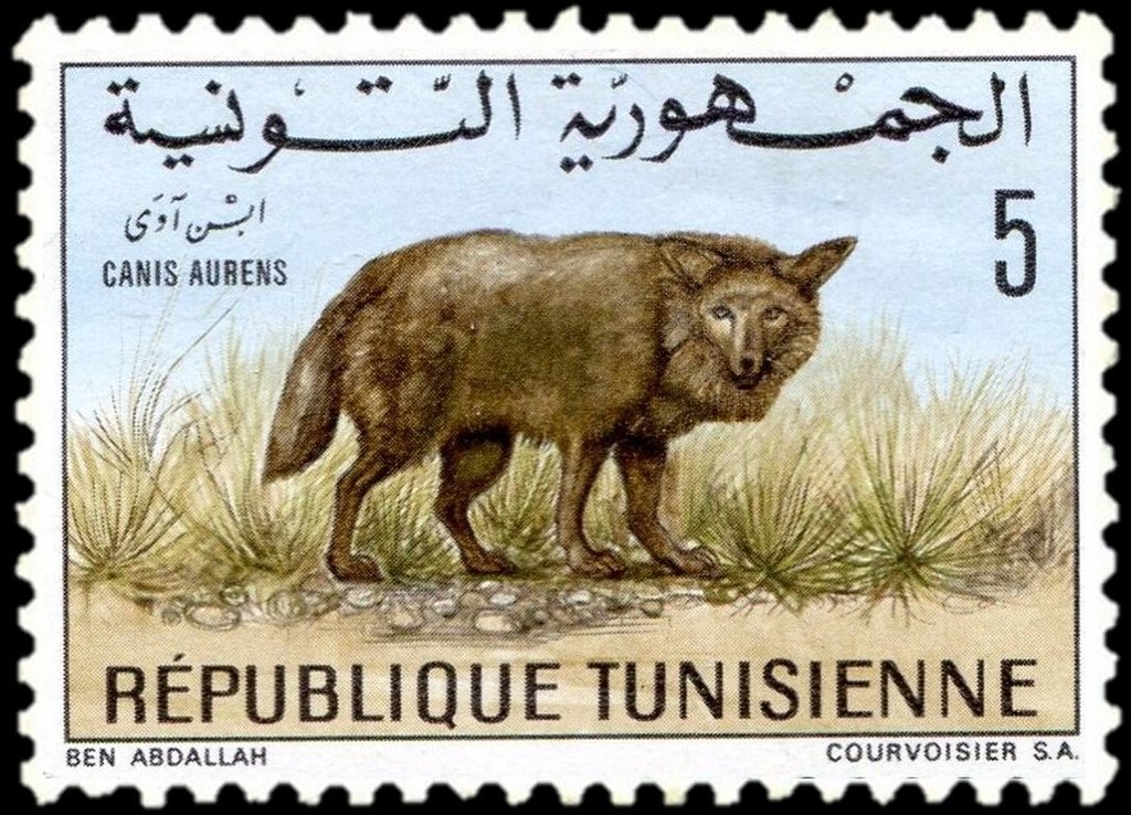 Stamp