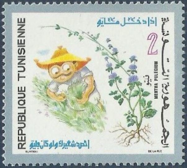 Stamp