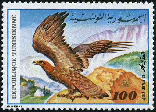 Stamp