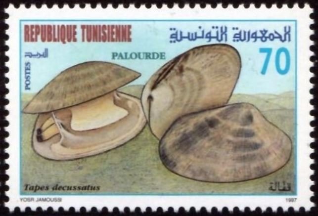 Stamp