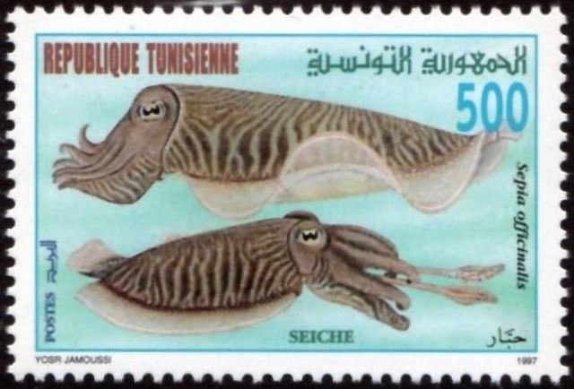 Stamp