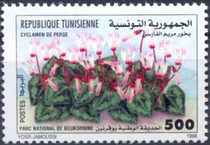 Stamp