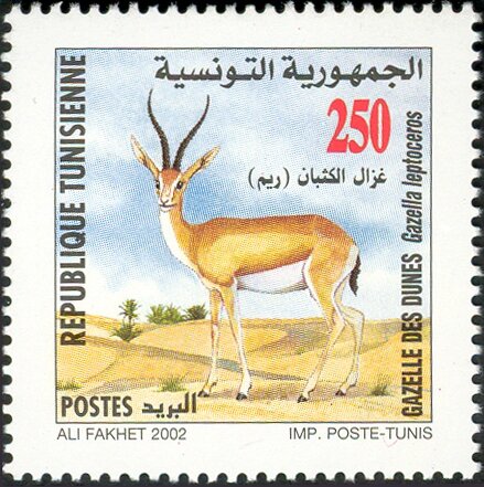 Stamp