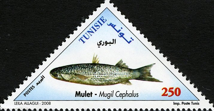 Stamp