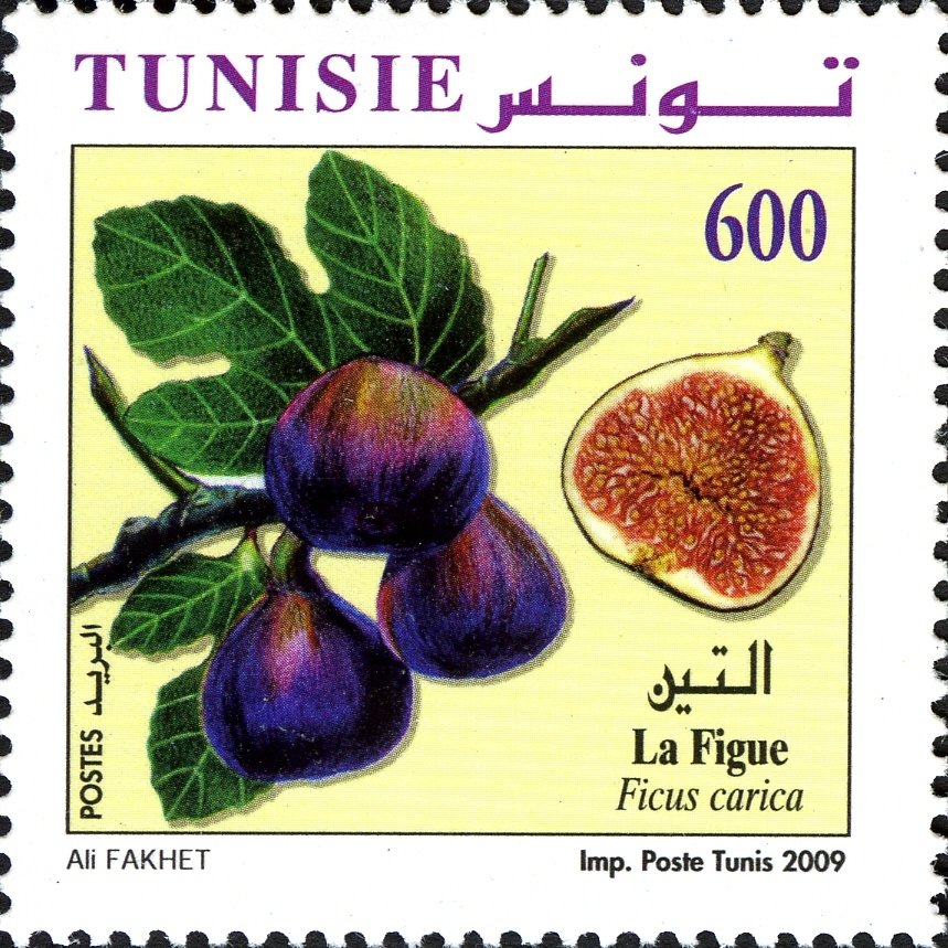 Stamp