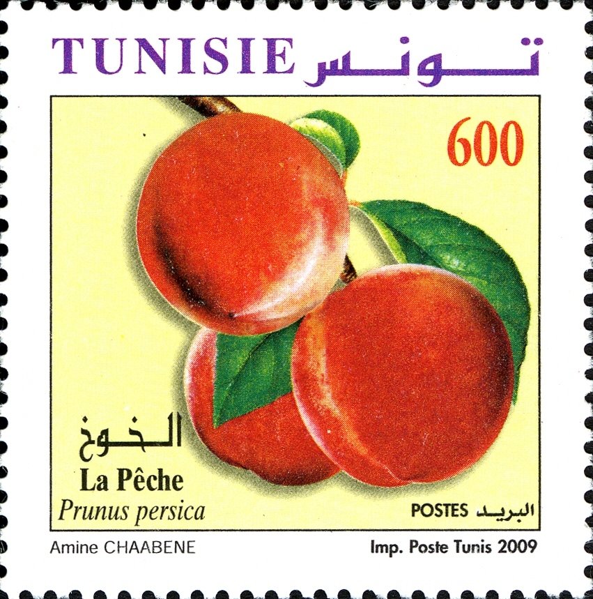 Stamp