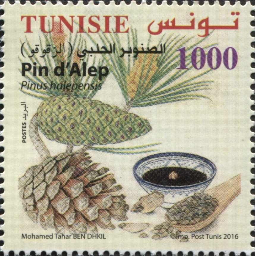 Stamp