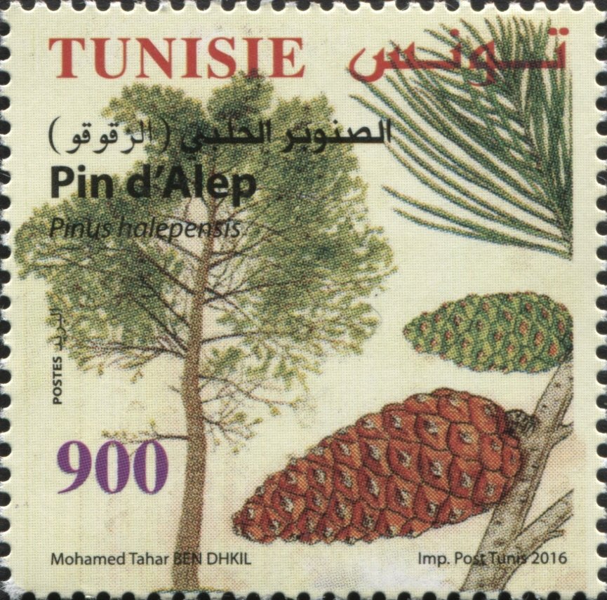 Stamp