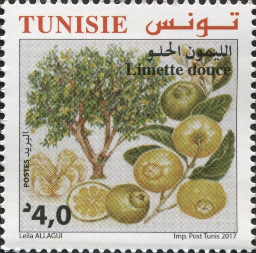 Stamp