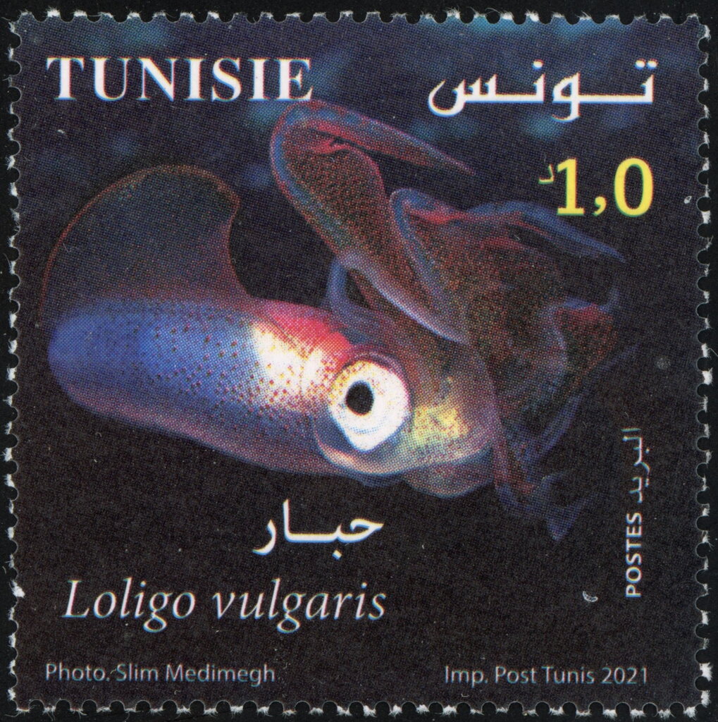 Stamp