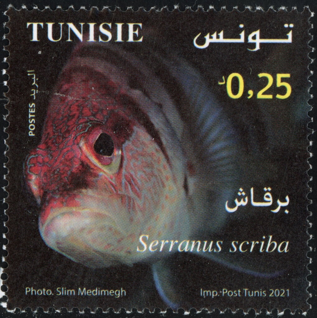 Stamp