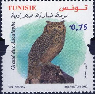 Stamp