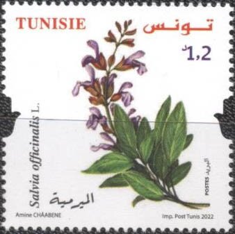 Stamp