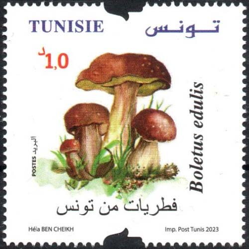 Stamp