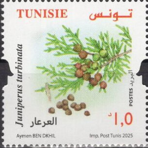 Stamp